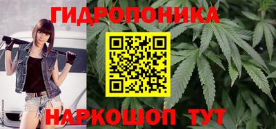 бошки Ставрополь