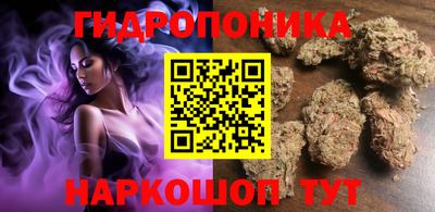 бошки Ставрополь