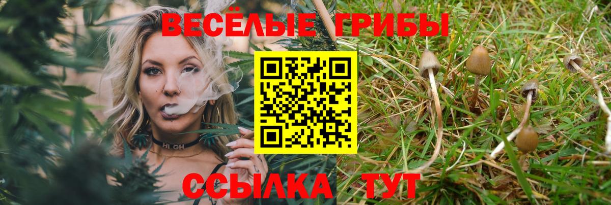 Псилоцибиновые грибы Magic Shrooms  Вход с VPN  Петрозаводск  Галлюциногенные грибы мицелий 