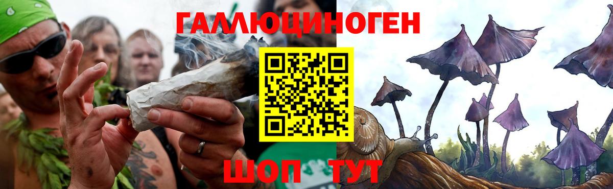 Галлюциногенные грибы Psilocybe Петрозаводск